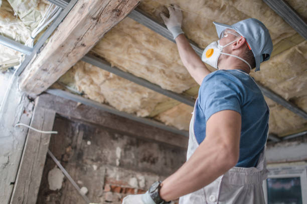 Best Attic Insulation Installation  in Kent, OH