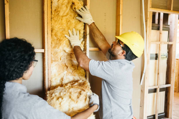 Best Insulation Removal  in Kent, OH