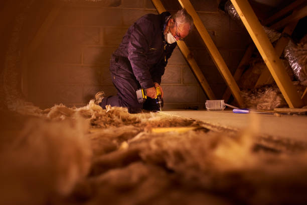 Best Insulation Repair Services  in Kent, OH